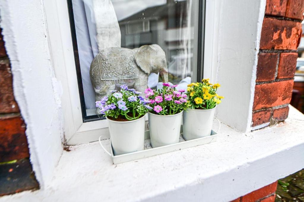 Apartmán Aunty Katie'S House, Ni Tourist Board Certified With Free Continental Breakfast Belfast Exteriér fotografie